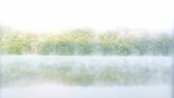 잔잔 한 호수 위로 아침 안개가 자욱하다. 천천히 떠다니는 한 쌍의 물체에서 바라봄. — 비디오