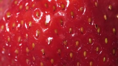 Olgun bir çileğin üzerine damlayan bir damla su. Makro fotoğrafçılık.