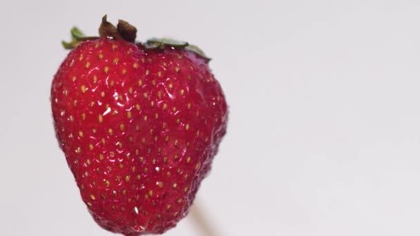 A drop of water drips on a large ripe strawberry. — Stock Video