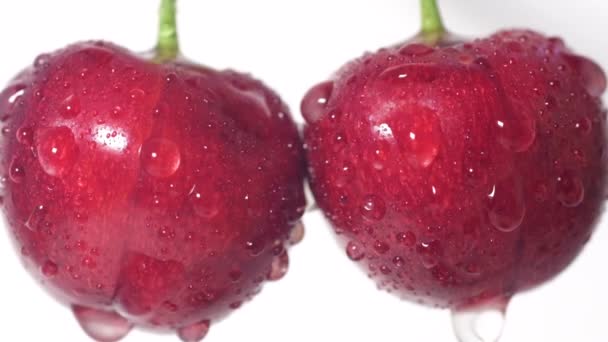 Close-up shot of a ripe red cherry after the rain. — Stock Video