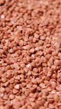 Çiğ karabuğday taneleri sağlıklı vejetaryen diyeti ve doğal besinleri temsil ediyor. Dikey video.