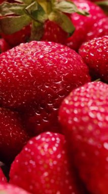 Parlak ve taze çilekler ayrıntılı olarak ele geçirilmiş, sulu dokuları ve doğal kırmızı renkleri vurgulanıyor..