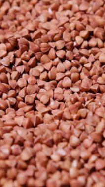 Doğal besinleri, sağlıklı beslenmeyi ve organik vejetaryen gıdaları temsil eden karabuğday yetiştiricilerinin detaylı bir yakın çekimi..