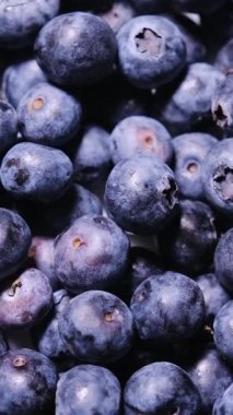 Taze toplanmış yaban mersinleri, sağlık, beslenme ve yiyeceklerle ilgili tasarımlar veya video projeleri için ideal bir arka plan.