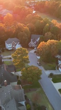 İnsansız hava aracı, sıcak sonbahar renkleriyle kaplı bir ormanı gösteriyor. Barışçıl doğal manzaranın havadan görünüşü.
