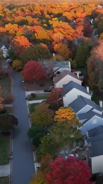 İHA görüntüleri kırmızı ve sarı ağaçlarla kaplı bir Amerikan caddesini gösteriyor. Sonbahar mevsiminde ılık akşam ışığı ve sakin banliyö manzarası.