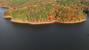 Sakin göl suyu ve çevresindeki renkli ormanı gösteren hava görüntüleri. Huzurlu ve doğal sonbahar manzarası ılık ışıkta.