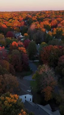 İnsansız hava aracı görüntüleri, evleri ve parlak portakal ağaçları olan modern bir banliyö bölgesini gösteriyor. Huzurlu ABD manzarasında ılık sonbahar renkleri.