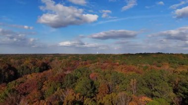 İHA görüntüleri açık mavi gökyüzünün altında parlak kırmızı, sarı ve yeşil ağaçlarla kaplı geniş bir ormanı gösteriyor. Sakin ve hareketli sonbahar manzarası.