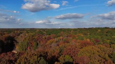 Hava görüntüleri, üzerinde renkli sonbahar ağaçları ve parlak mavi gökyüzü olan geniş bir ormanı gösteriyor. Huzurlu doğal manzara.