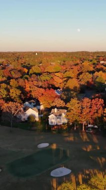 İnsansız hava aracı görüntüleri, altın güneş ışığı altında ormanda parlak sonbahar renklerini gösteriyor. Yukardan bakıldığında huzurlu ve ılık sonbahar atmosferi.
