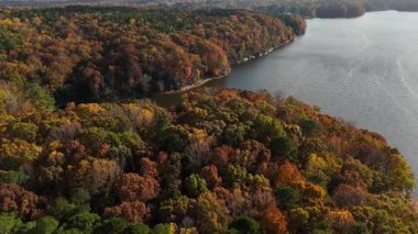 Ufuk çizgisine kadar uzanan kırmızı, turuncu ve sarı renkli ağaç tepelerini gösteren hava görüntüleri. Yumuşak gün ışığında sakin sonbahar manzarası.