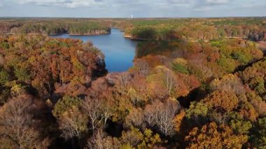 İnsansız hava aracı görüntüleri renkli devrilen ağaçlarla çevrili sakin bir nehir gösteriyor. Sonbahar doğasının ve temiz su yüzeyinin güzel hava manzarası.