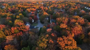 Kırmızı, turuncu ve sarı ağaçlarla çevrili banliyö caddelerinin ve çatıların havadan görünüşü. Yumuşak günışığıyla sakin bir düşüş.