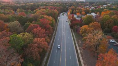 İnsansız hava aracı görüntüleri, turuncu ve kırmızı düşen ağaçlarla çevrili düz bir yolda giden bir arabayı gösteriyor. Yukarıdan barışçıl sonbahar seyahat sahnesi.