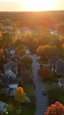 Hava görüntüleri, parlak düşen yapraklarla dolu sık bir ormanı gösteriyor. Kırmızı, sarı ve yeşil yaprakların karışımı doğal bir sonbahar deseni oluşturur..