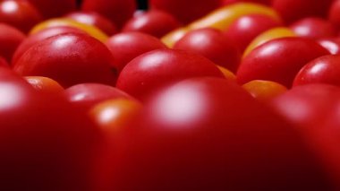Kırmızı kiraz domateslerinin doğal ışık yansıması ve pürüzsüz dokuma dokusunun yakın çekim videosu. Sağlıklı yiyecekler ve vejetaryen kavramları için mükemmel..