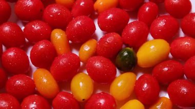 Kırmızı ve sarı kiraz domateslerinin doğal dokusu ve yumuşak yansımalarının yakın çekim makro videosu. Sağlıklı yemek, vejetaryen ve organik diyet kavramları için mükemmel..