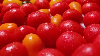 Yüzeyinde su damlaları olan taze kiraz domateslerinin yakın çekim makro videosu. Tazelik, sağlıklı beslenme ve organik sebze kavramları için mükemmel..