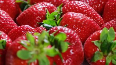 Taze olgun çileklerin canlı kırmızı renkli ve sulu dokusuyla yakın çekim makro görüntüleri. Sağlıklı yiyecekler, organik yiyecekler, tatlı malzemeleri ve yaz meyvesi kavramları için mükemmel..