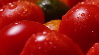 Su damlaları ve doğal yansımaları olan kırmızı kiraz domateslerinin yakın çekim makro videosu. Tazelik, sağlıklı yiyecek ve organik sebze kavramı..