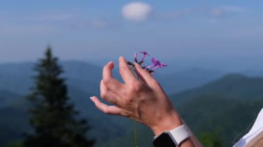 Mavi Tepe Dağları 'nın barışçıl manzarası arka planda açılıp doğanın sakin ve atmosferik bir anını yaratırken, bir kadının elleri hafifçe kır çiçeklerini tutuyor..