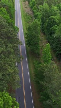 Bereketli yeşil manzarayla çevrili kıvrımlı bir orman yolunun manzaralı manzarası, huzurlu doğayı yakalıyor. Dikey video.