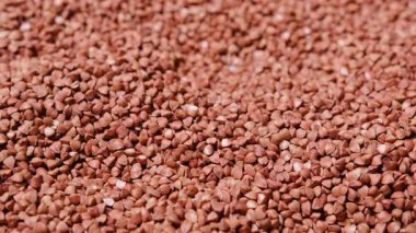 Çiğ, kahverengi karabuğday homurdanmalarının sığ alan derinliği ile içeri ve dışarı odaklanma görüntüsünü kapat