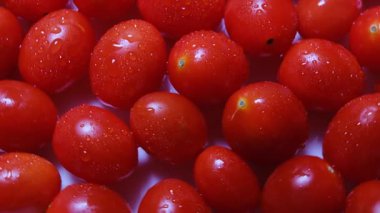 Parlak kırmızı, vişneli domatesler, temiz beyaz arka planda dönüyor, sergilenen tazelik