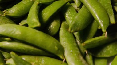 Kapsüllerin detaylarını ve dokusunu gösteren taze, ıslak, yeşil bezelyeler yavaşça dönüyor.