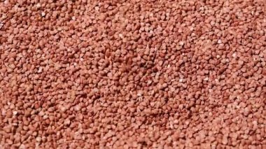 Çiğ, kuru karabuğday Groats bir yığın üzerine dökülen, sağlıklı gıda için doğal bir arka plan oluşturur