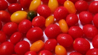 Renkli kırmızı, sarı ve portakallı domatesler. Su damlaları yavaşça beyaz arkaplanda dönüyor.