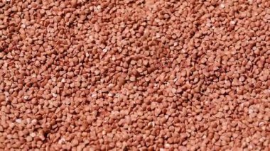 Çiğ pişmemiş organik karabuğday homurtusu yukarıdan düşüyor ve desenli bir gıda arka planı oluşturuyor.