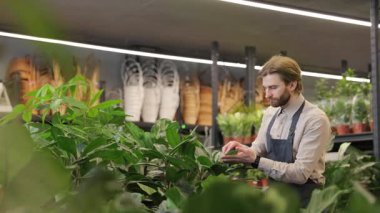 Çiçekçide çiçeklerin yeşil yapraklarını silen bir adam.