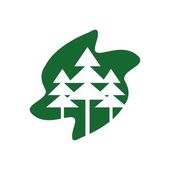 {Pino logo
93} Vector de logotipo abstracto bosque pino abeto verde — Vector de ... | {Pino logo
93}