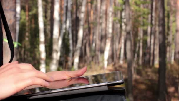 Mujer joven utiliza una tableta PC en el bosque — Vídeo de stock