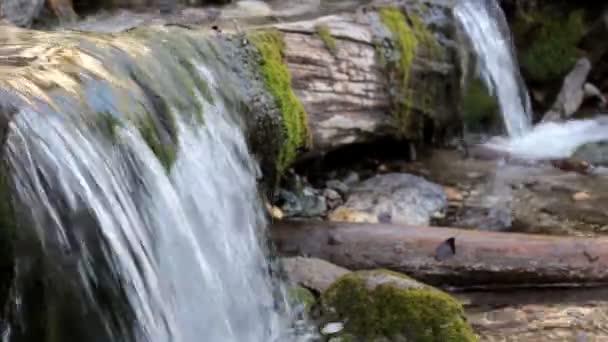 Mountain Creek, Rapid — Videoclip de stoc