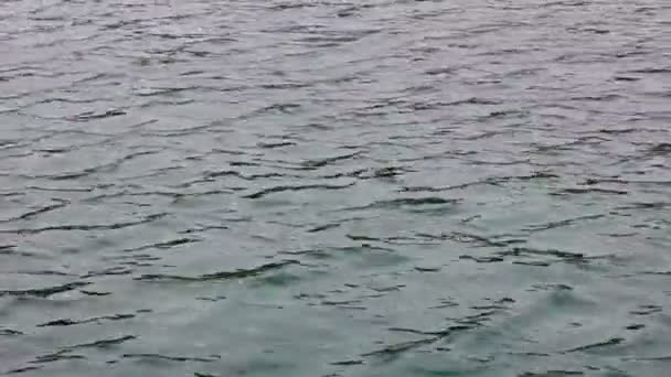Wasseroberfläche. Meer, Meer, See, Fluss, Wellen — Stockvideo
