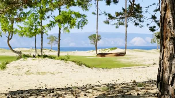 Rope swing hangs on tree on a beautiful sunny beach in summer day — Stock Video