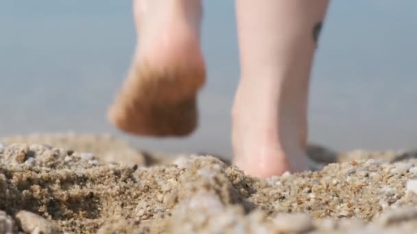 Zbliżenie stóp na plaży, wejście do wody — Wideo stockowe