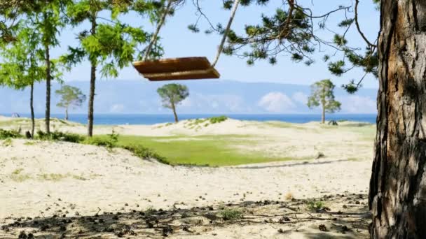 Een eenzame touwschommel hangt aan een boom en zwaait aan de kust — Stockvideo