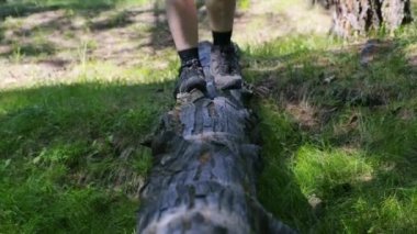 Ormanda bir kütük boyunca yürüyorum. Bacaklarını kapat.