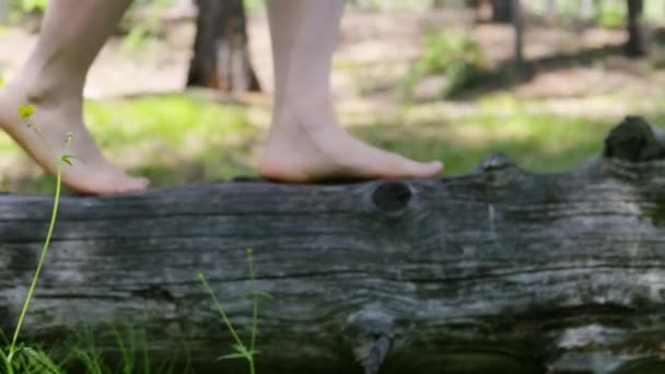 Picioarele goale merg pe un buştean în pădure. Relaxează-te — Videoclip de stoc