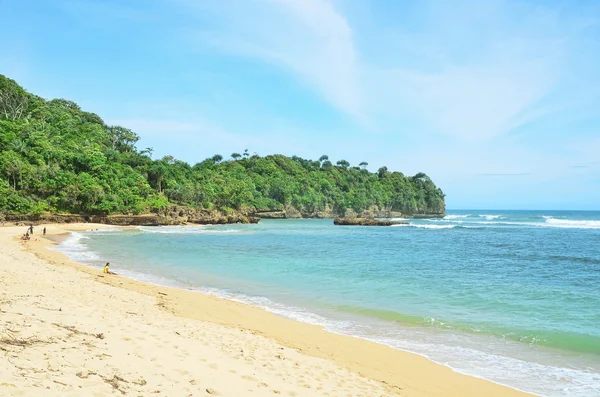 Paesaggio di una spiaggia e lussureggiante foresta verde sullo sfondo nella giornata di sole — Foto Stock