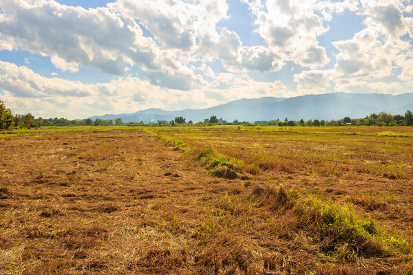Пейзаж. Фермеры и ландшафтные зоны после урожая инноваций
.