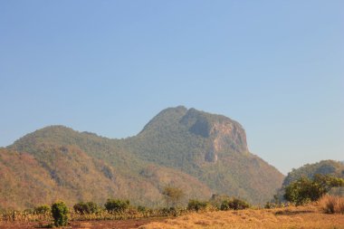 Kuzey Tayland manzara