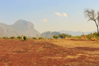 Tepeler ve peyzaj alanı çiftçi hasat innovatio sonra