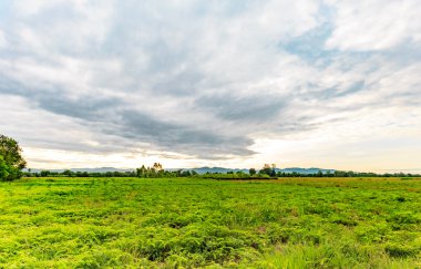 Dağlar. Bulutlu Dağları Kuzey Tayland
