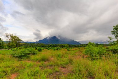 Dağlar. Bulutlu Dağları Kuzey Tayland