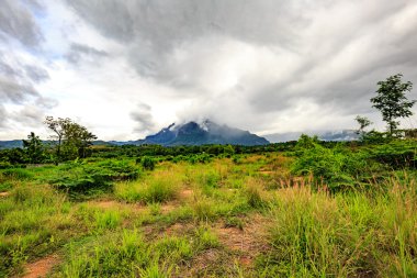 Dağlar. Bulutlu Dağları Kuzey Tayland
